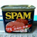 SPAM